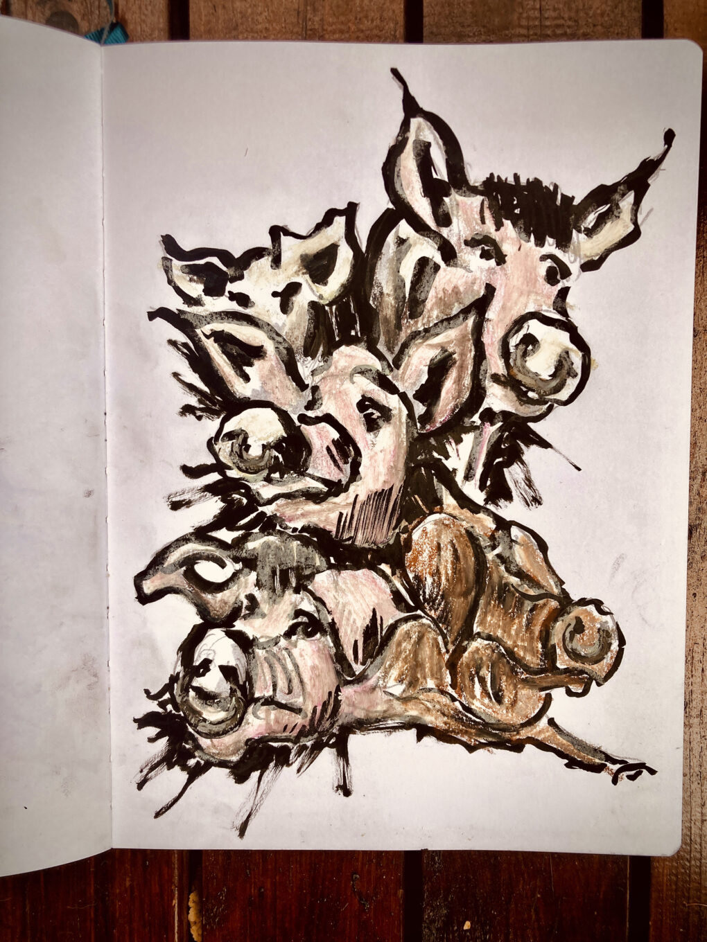 Schweinische Porträts - Zeichnung mit Tusche und Ölpastellkreiden von Martin Korzenski