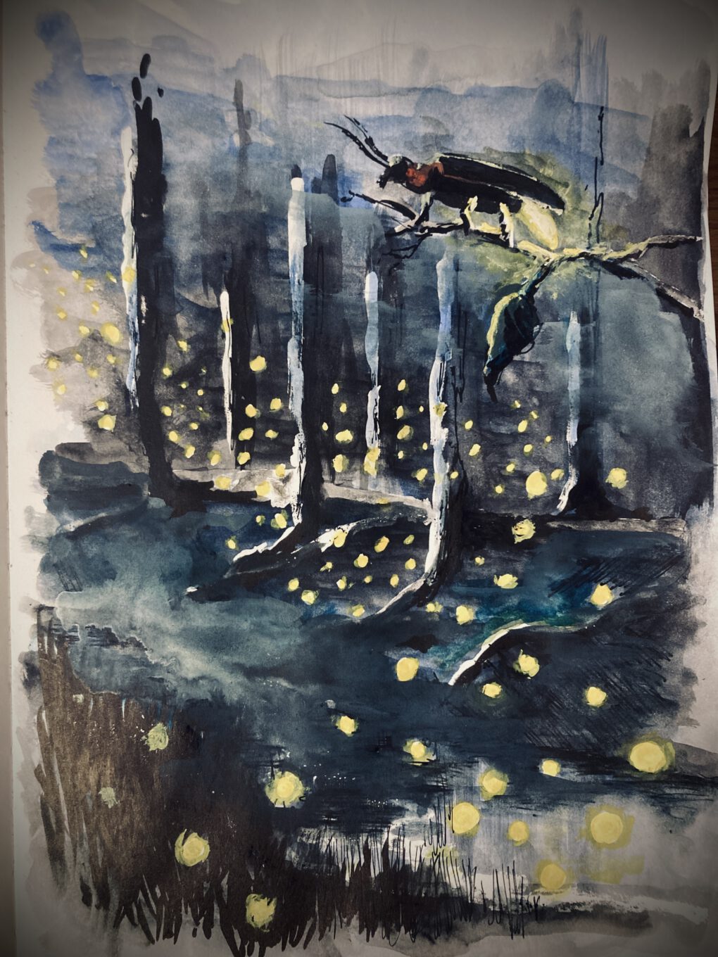Glühwürmchen - Zeichnung mit Tusche und Aquarell von Martin Korzenski