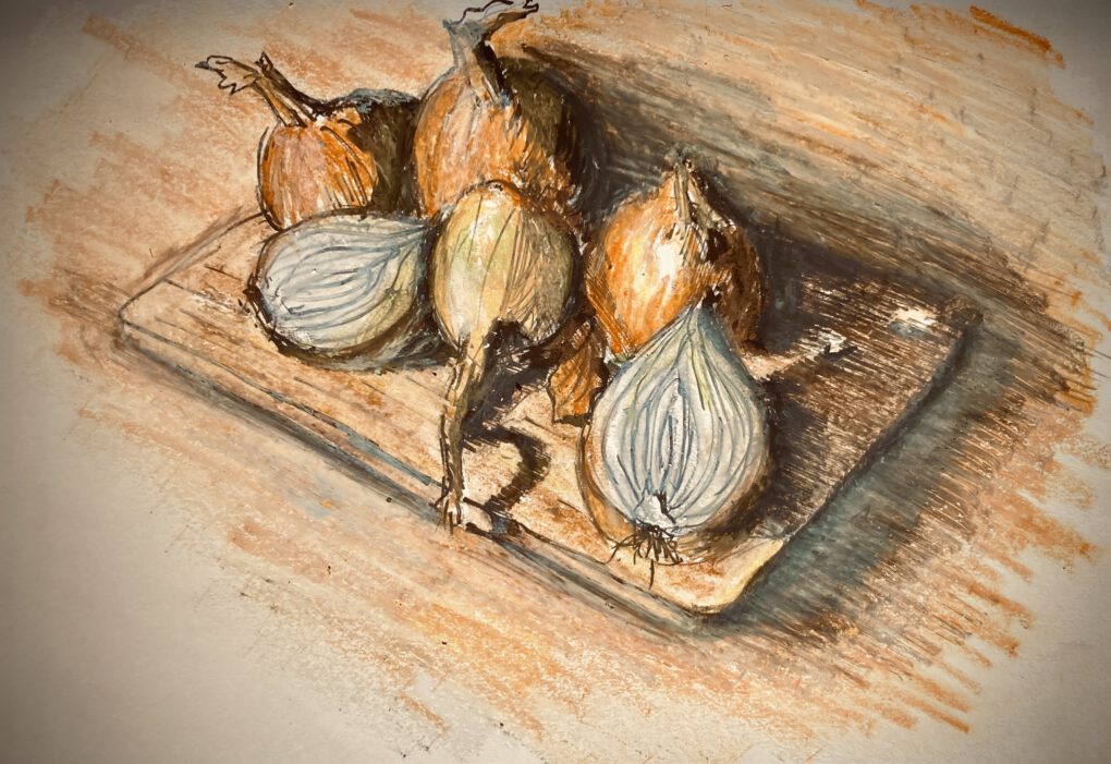 Kraft der Zwiebeln - Zeichnung mit Bleistift, Tusche, und Ölpastellkreiden von Martin Korzenski